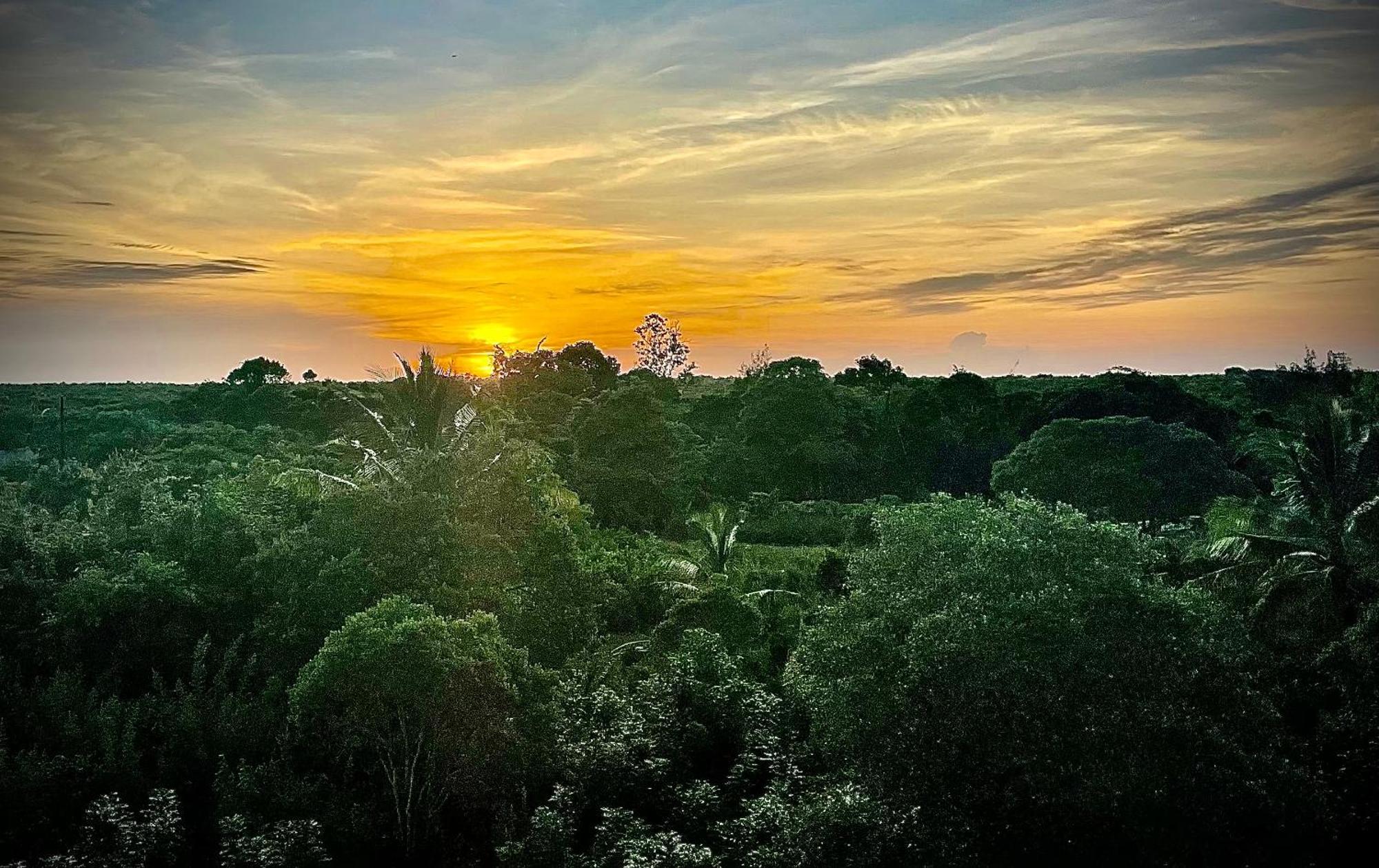 Zen Boutique Resort Jambiani  Eksteriør billede